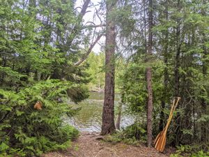camp