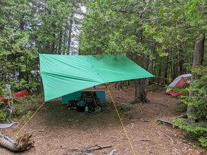 tarp spot