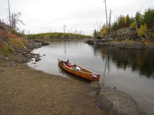 Insula side of portage