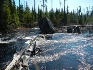 Jack ~ Weird portage rock