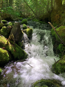 Johnson Falls