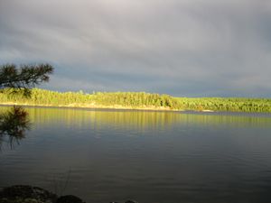 Site 35T