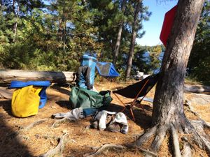 Burke Lake 1