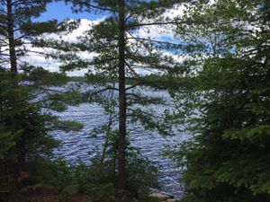 IMG_5076.jpg