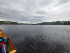 Grassy Rice Bay