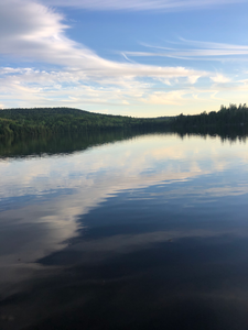 Bower trout looking west