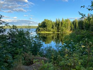 Ensign Campsite 1223 View