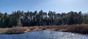 Nixon Creek landing