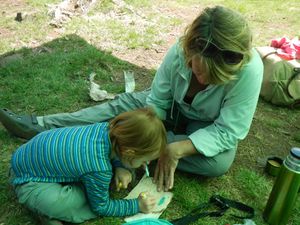 Birch bark coloring