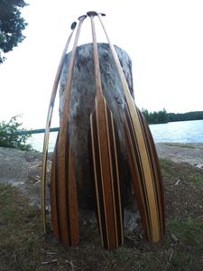 Some of my paddles on McIntosh Lake