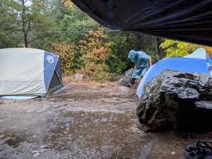 Puddle Pads