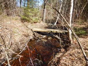 EP 84 portage foot bridge