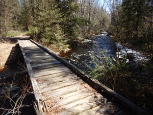 Snake River bridge