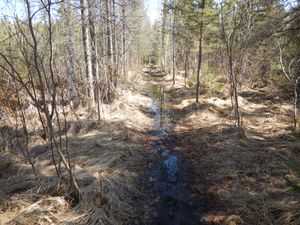 Muddy section Snake River portage