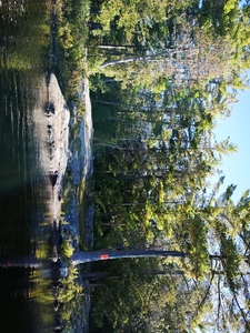 Clamshell Lk campsite