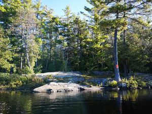 From the water view