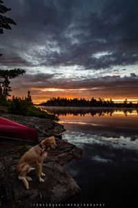 Beautiful Sunrise