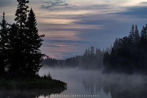 Foggy Sunrise