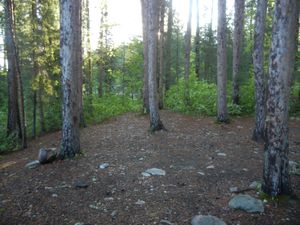 Campsite #2031