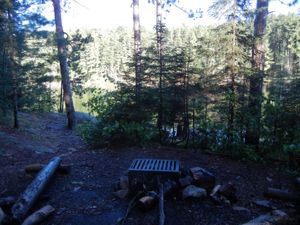 Campsite #2031
