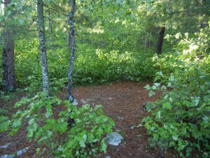 Campsite #2031