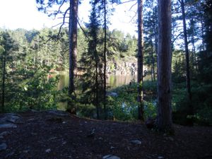 Campsite #2031