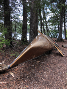 Campsite