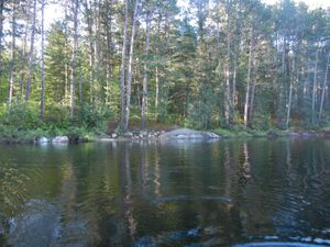 Campsite #2031