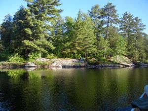 Campsite #1981