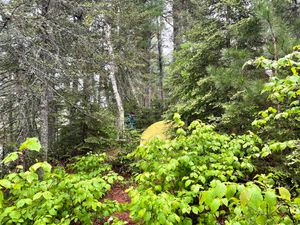 Third tent pad down the trail