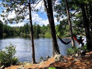 Hammocks at Platypus's Garden