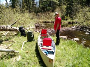 Beaver Dam on Snake River