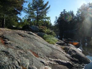 Campsite #1981