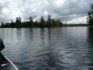 Gull Lake Island