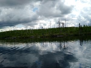 Gull Lake Last Island