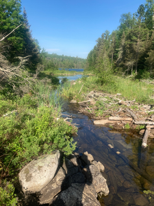 Creek from Gun to Bullet
