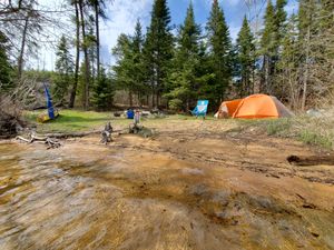Clove Lake Site