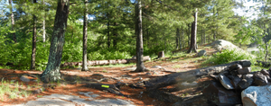 Campsite #1981