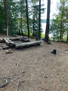 IMG_3304.jpg
