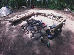 IMG210608-024411F.jpg