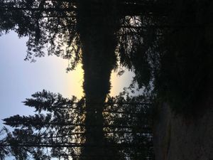 Great seclude site
