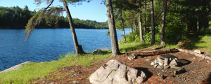 Campsite #1982
