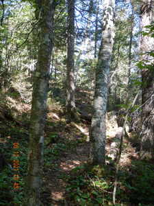Trail to camp area