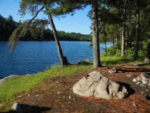 Campsite #1982