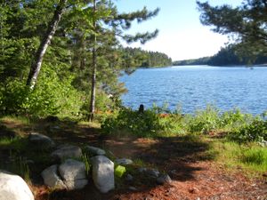 Campsite #1982