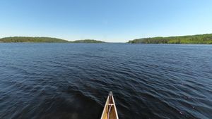 Heading Down Basswood