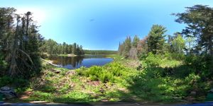 Beaver Pond