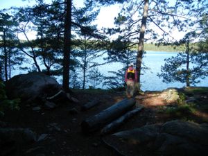 Campsite #1988