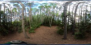 Campsite 1630