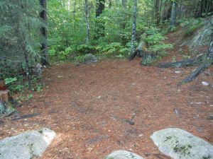 Campsite #1988